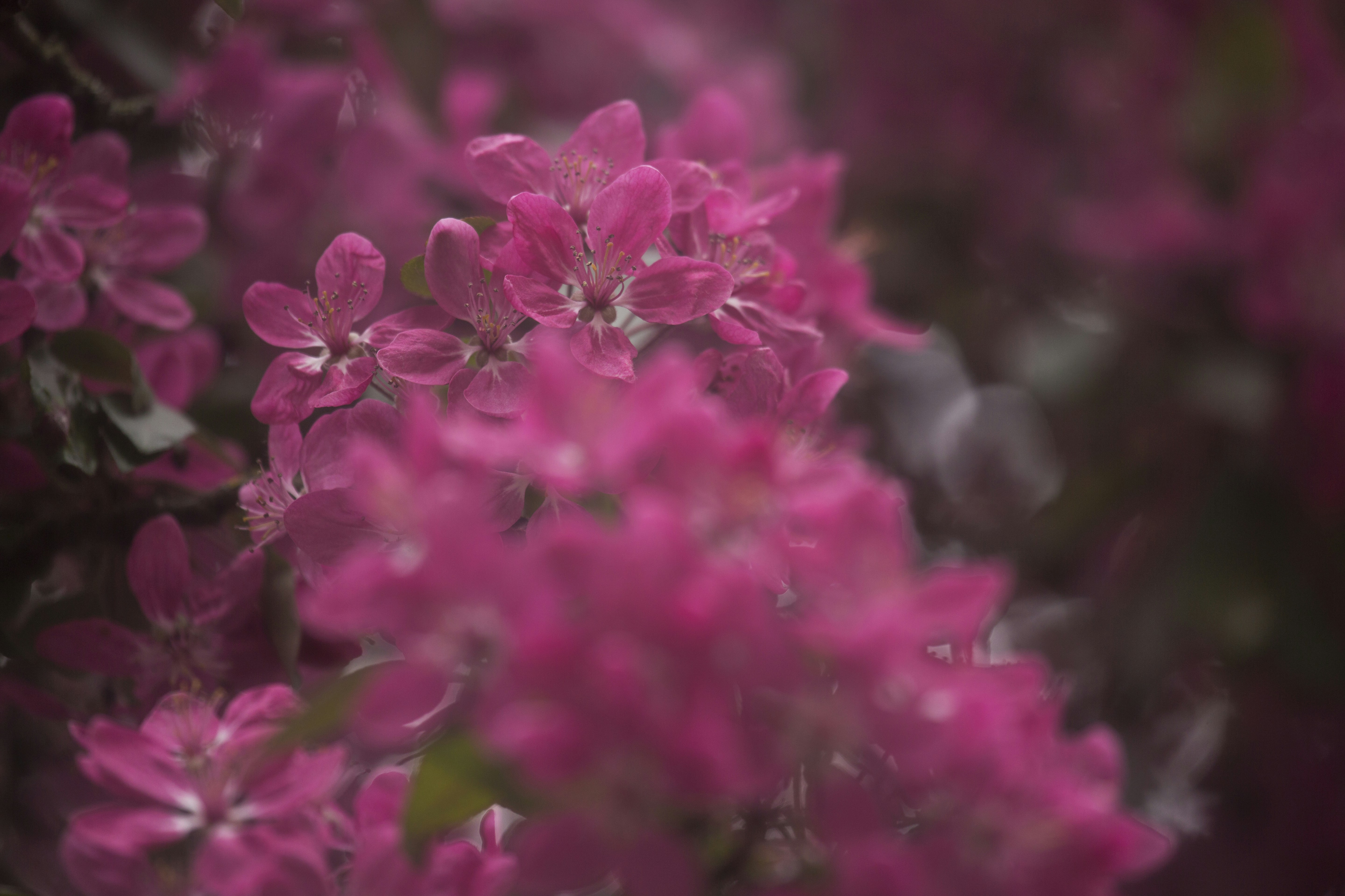 Photo by ditakesphotos