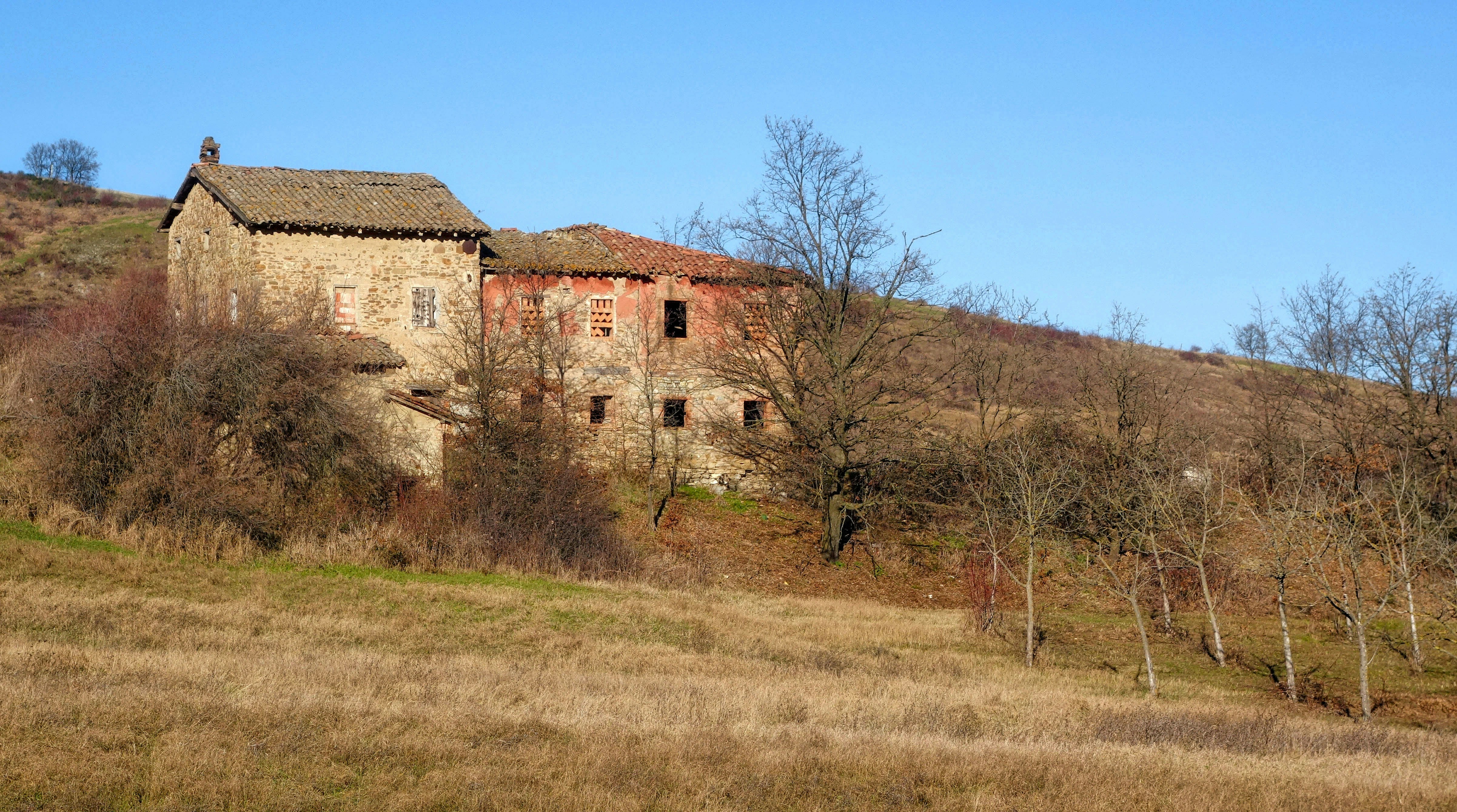 brown concrete building near bare trees under blue sky during daytime