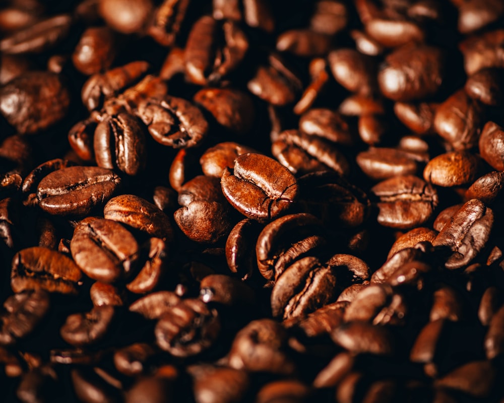 coffee beans in close up photography