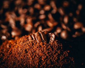 A close-up view of roasted coffee beans resting atop a pile of ground coffee. The image is richly textured, highlighting the glossy, dark brown surface of the beans against the finely ground coffee, both in warm, rich hues.