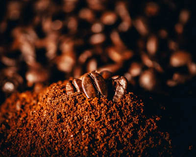 Close-up photo of rich, dark roasted ground coffee in a rustic wooden scoop with a deep ripe crimson background.