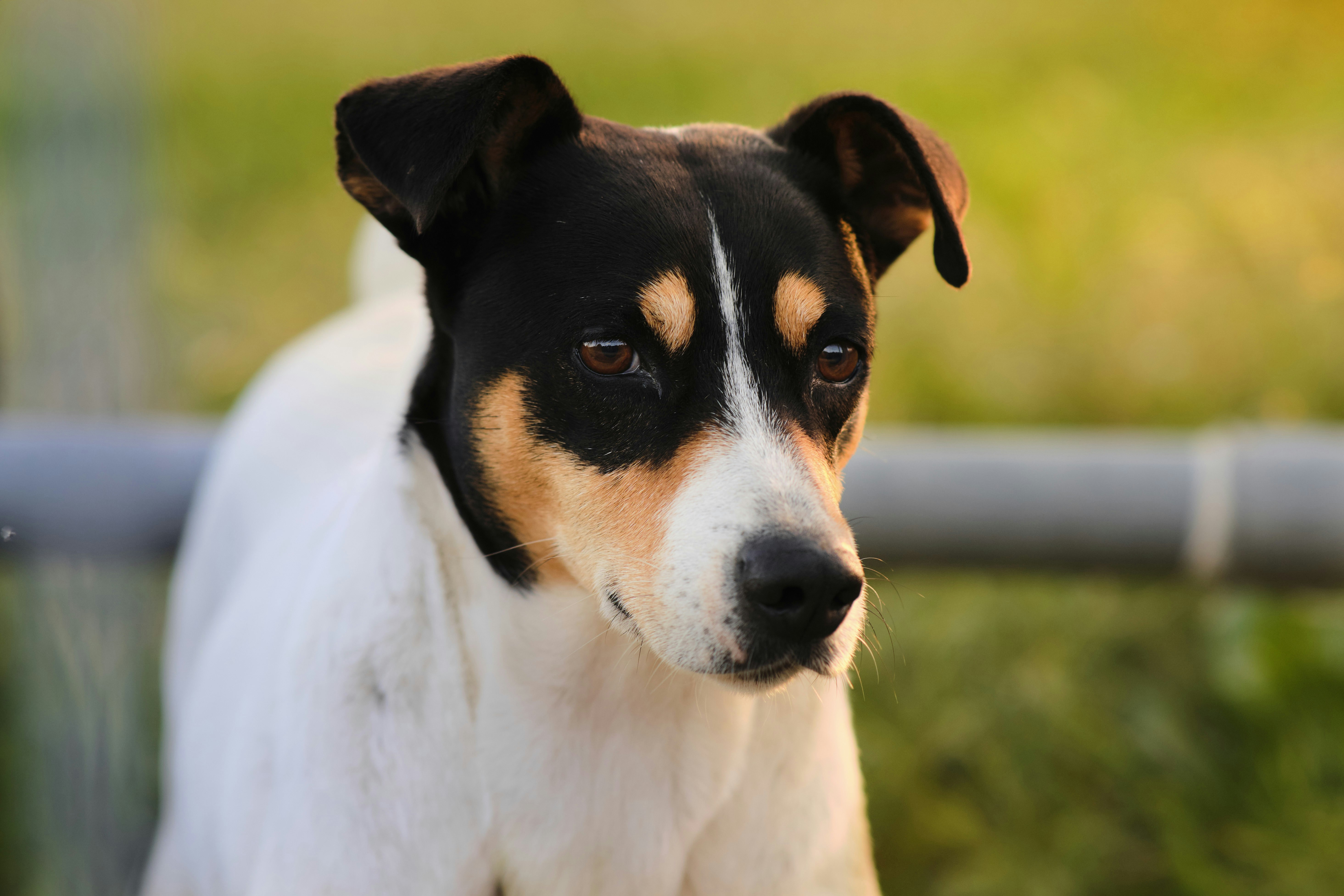 Photo by victor_vector