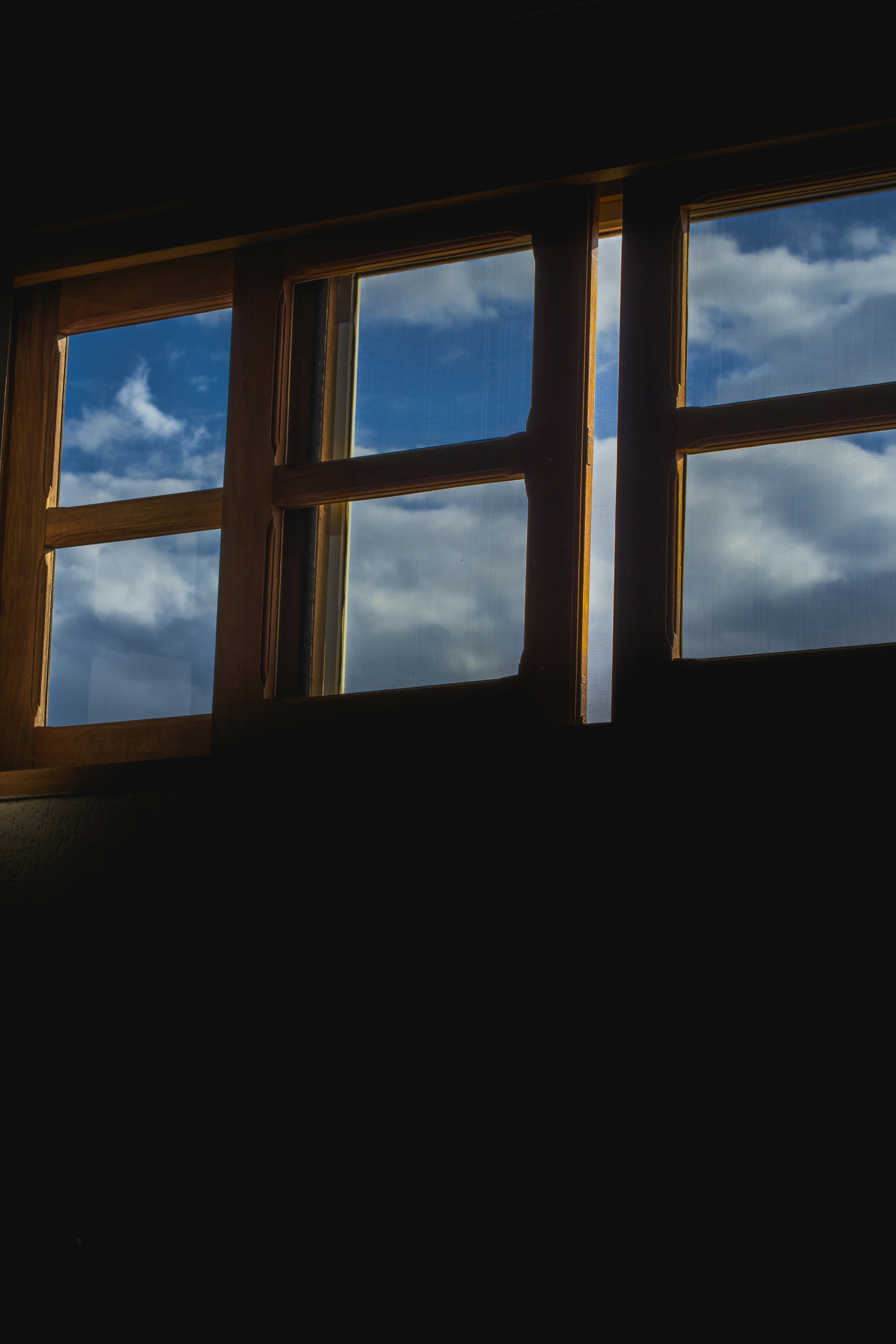 Photo by vitor_camilo