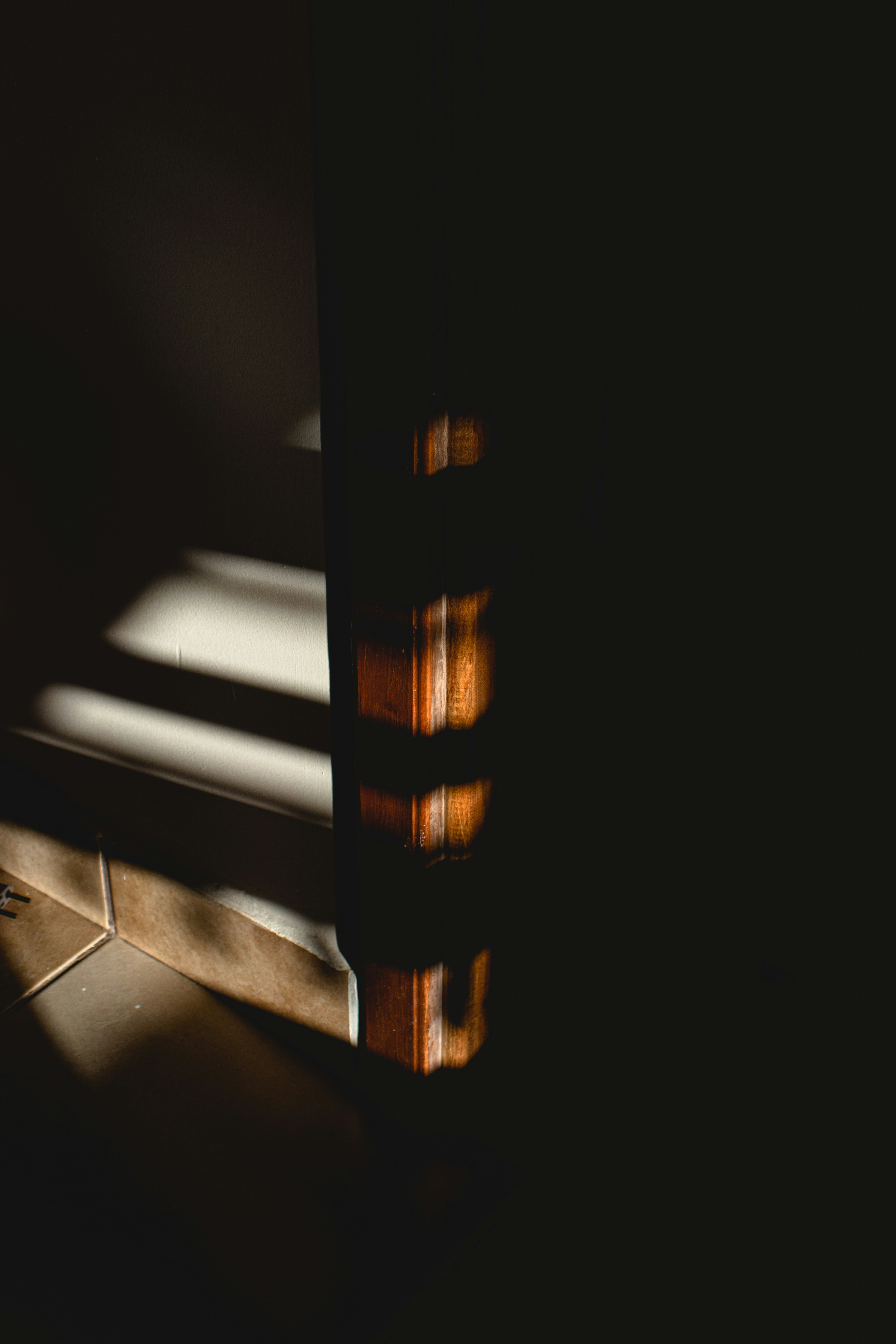 Photo by vitor_camilo