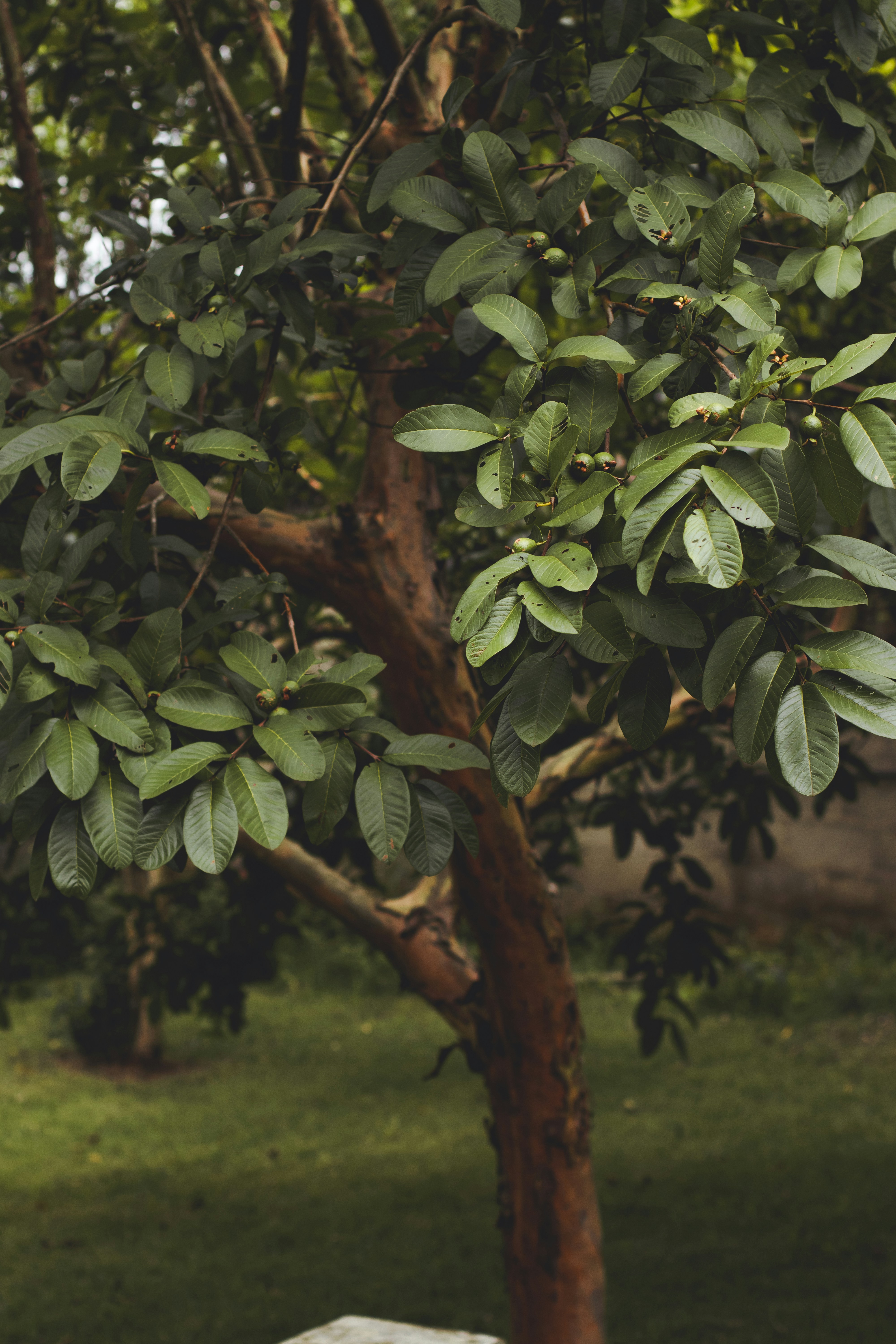 Photo by vitor_camilo