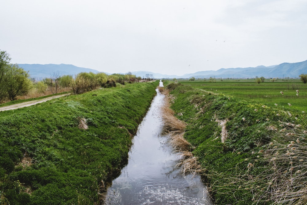 green grass field near river during daytime