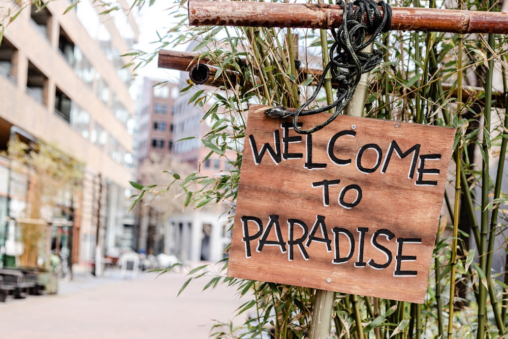 brown wooden welcome to the beach signage