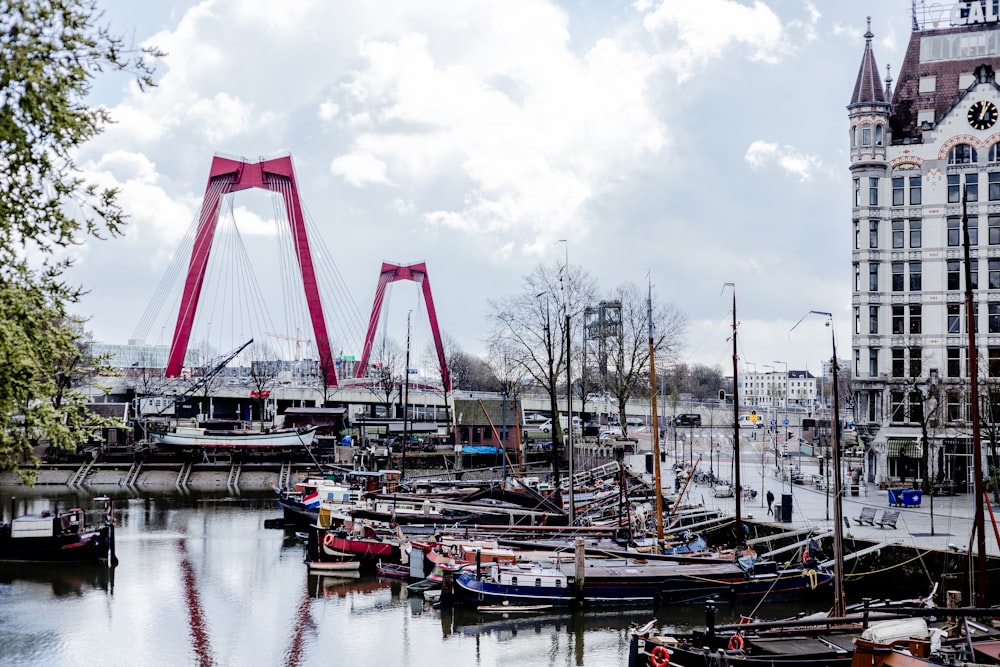 boat on dock near bridge during daytime