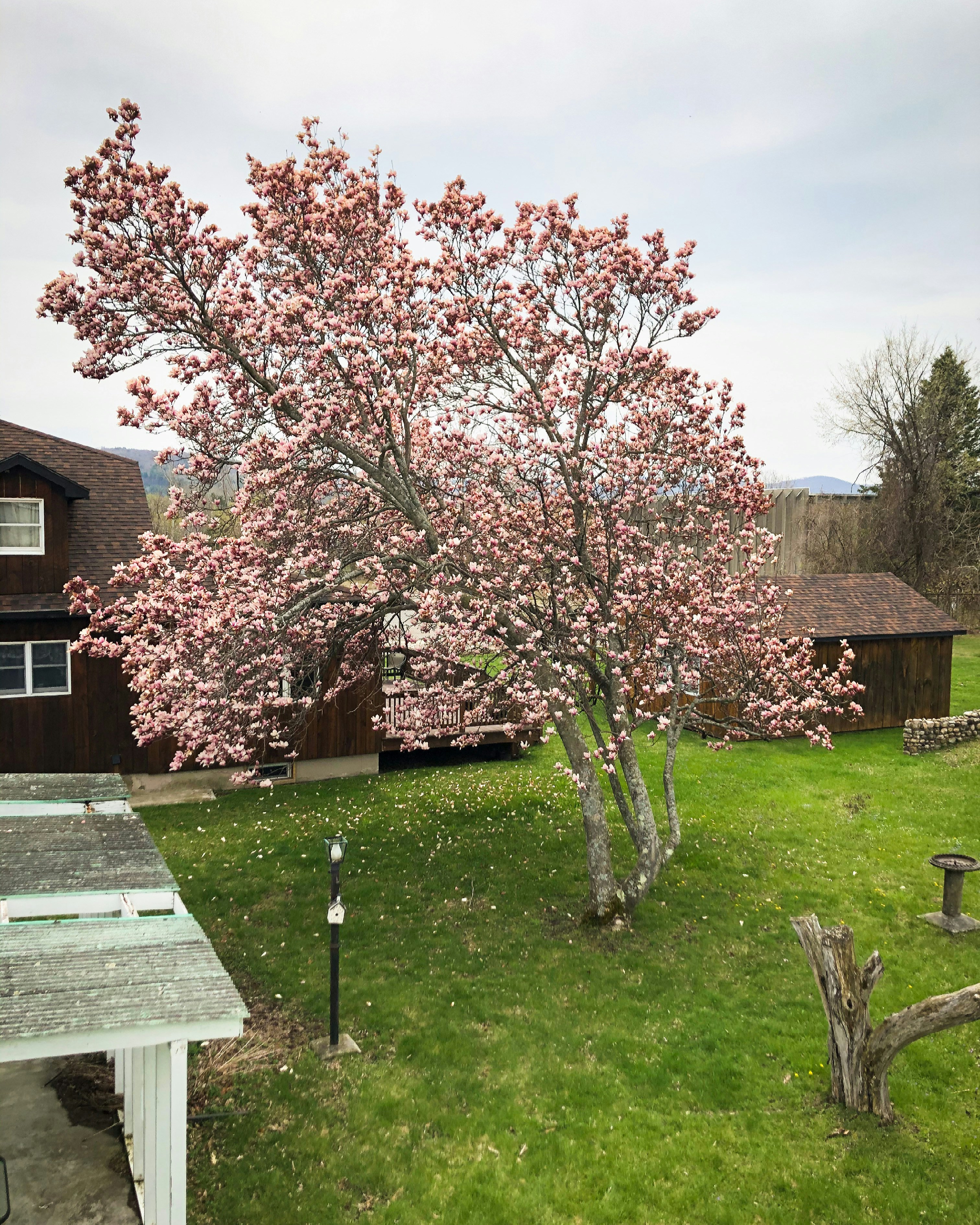 Photo by bonniekdesign