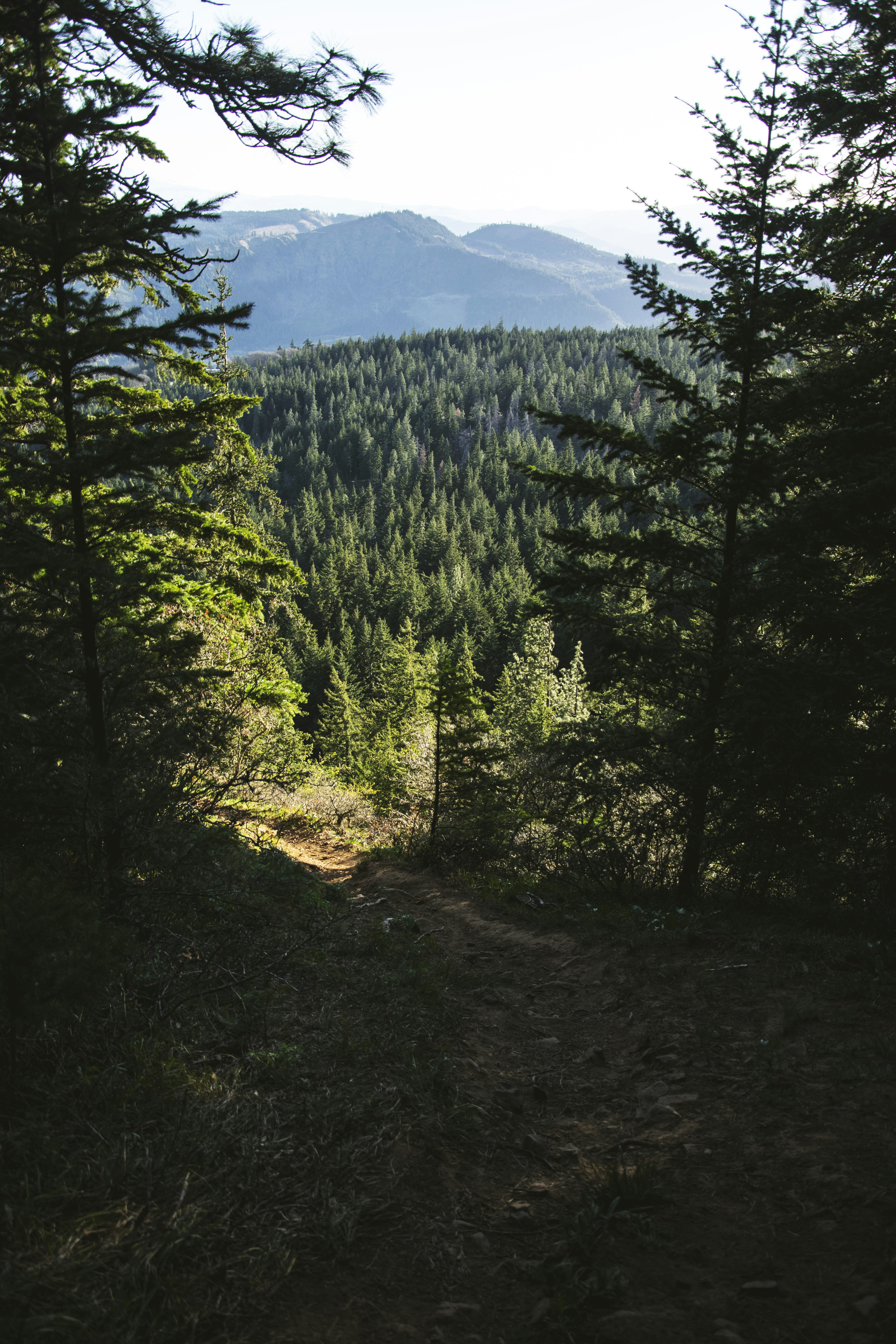 Photo by pilgrimmemoirs