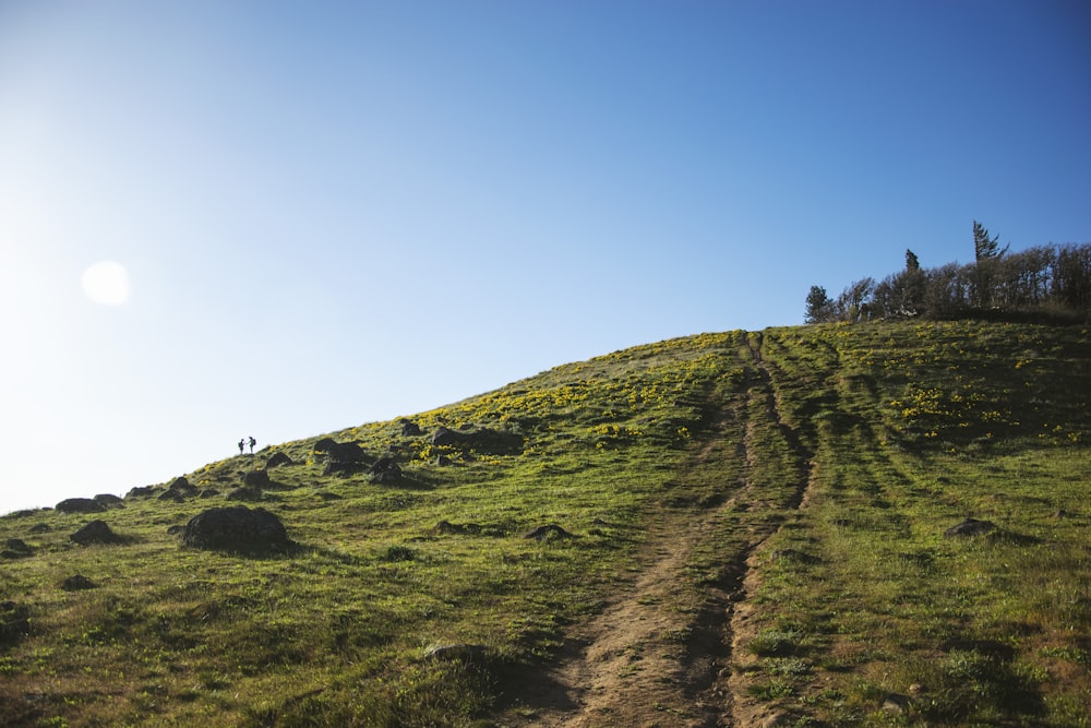 green grass covered hill under blue sky during daytime