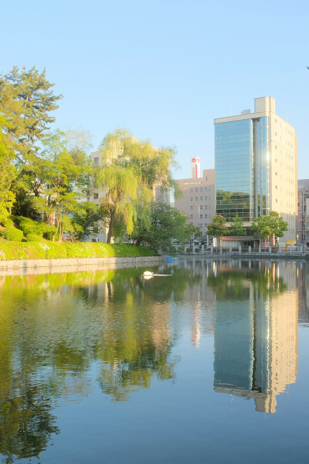 body of water near green trees and high rise buildings during daytime