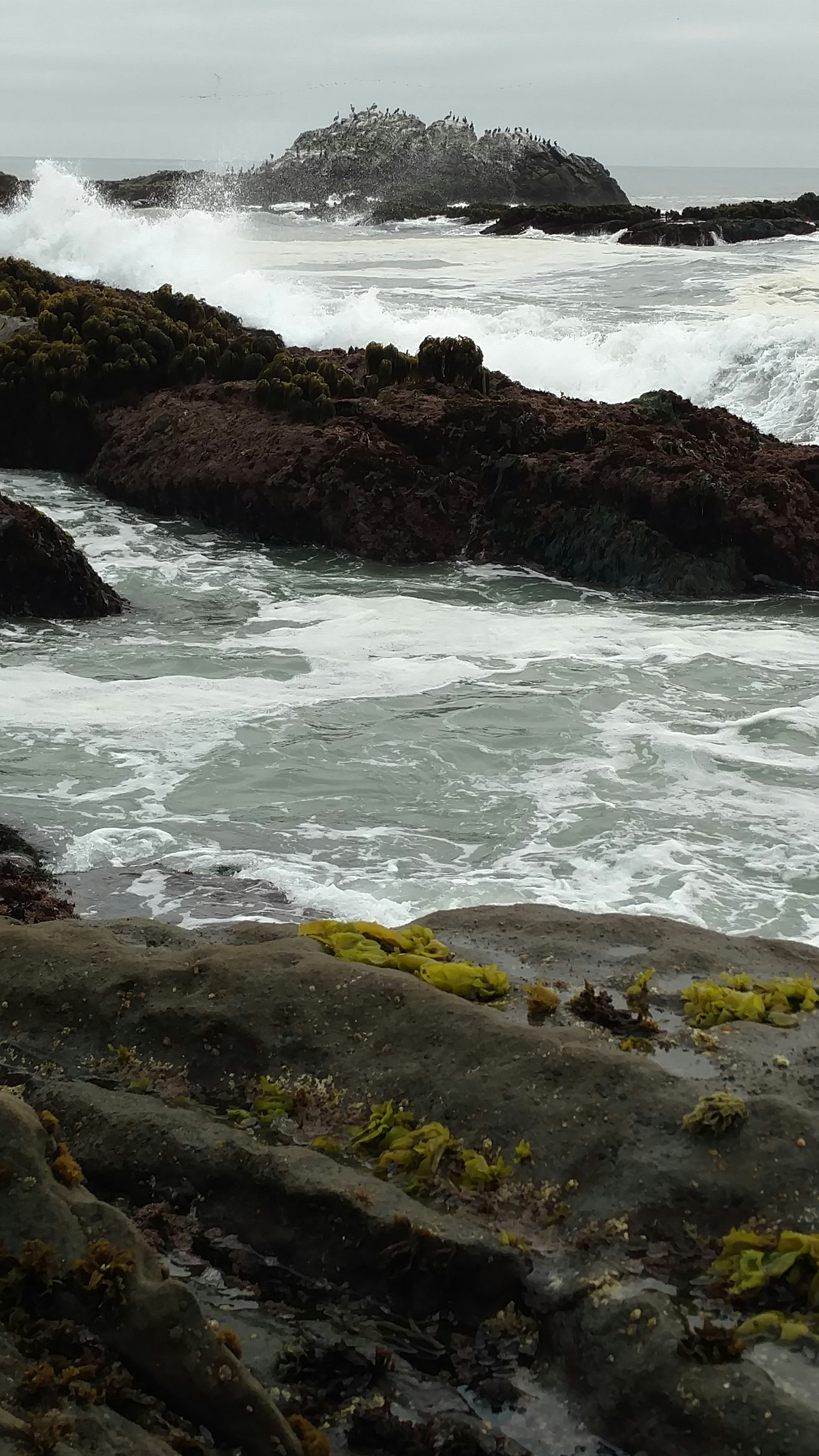 Photo by nia_nevergiveup