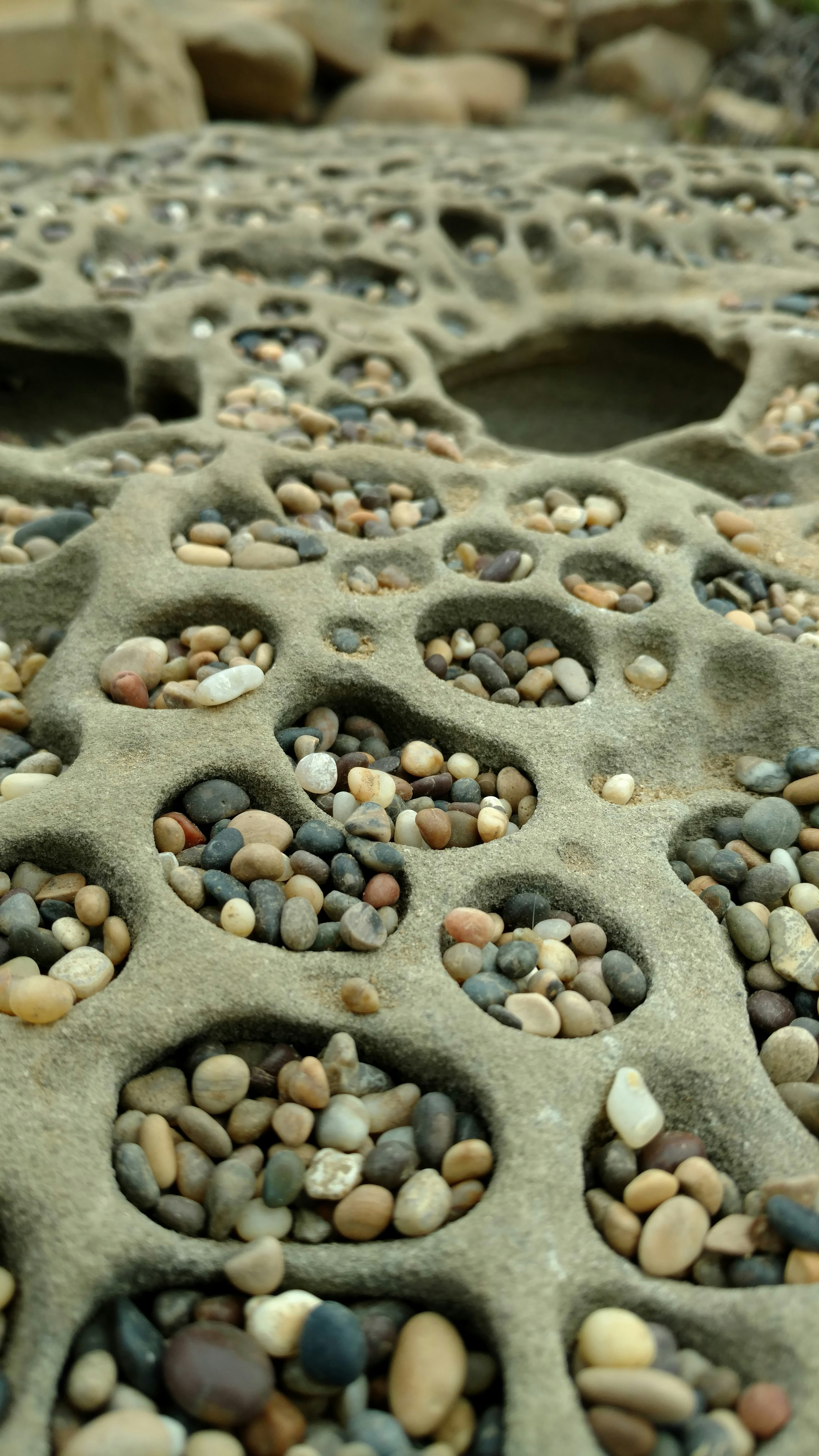 Bean Hollow State Beach CA 7 best free bean hollow state beach