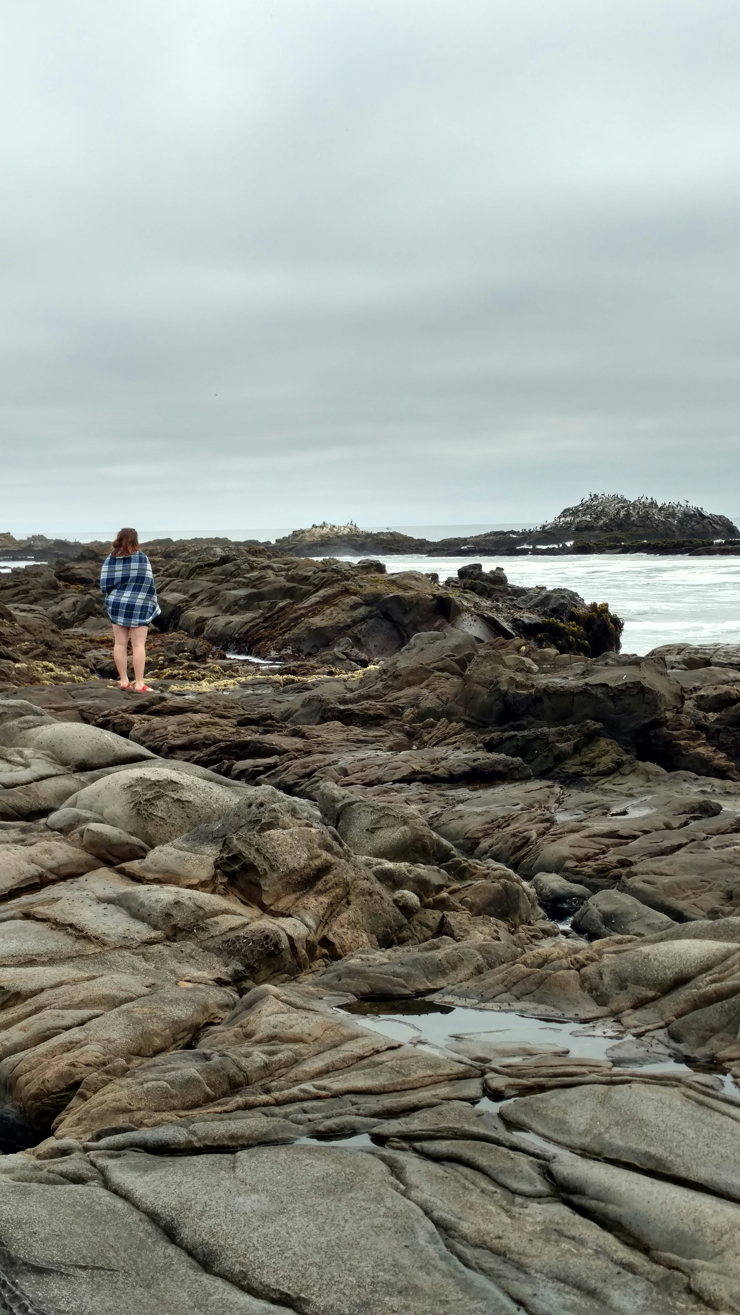 Bean Hollow State Beach CA 7 best free bean hollow state beach