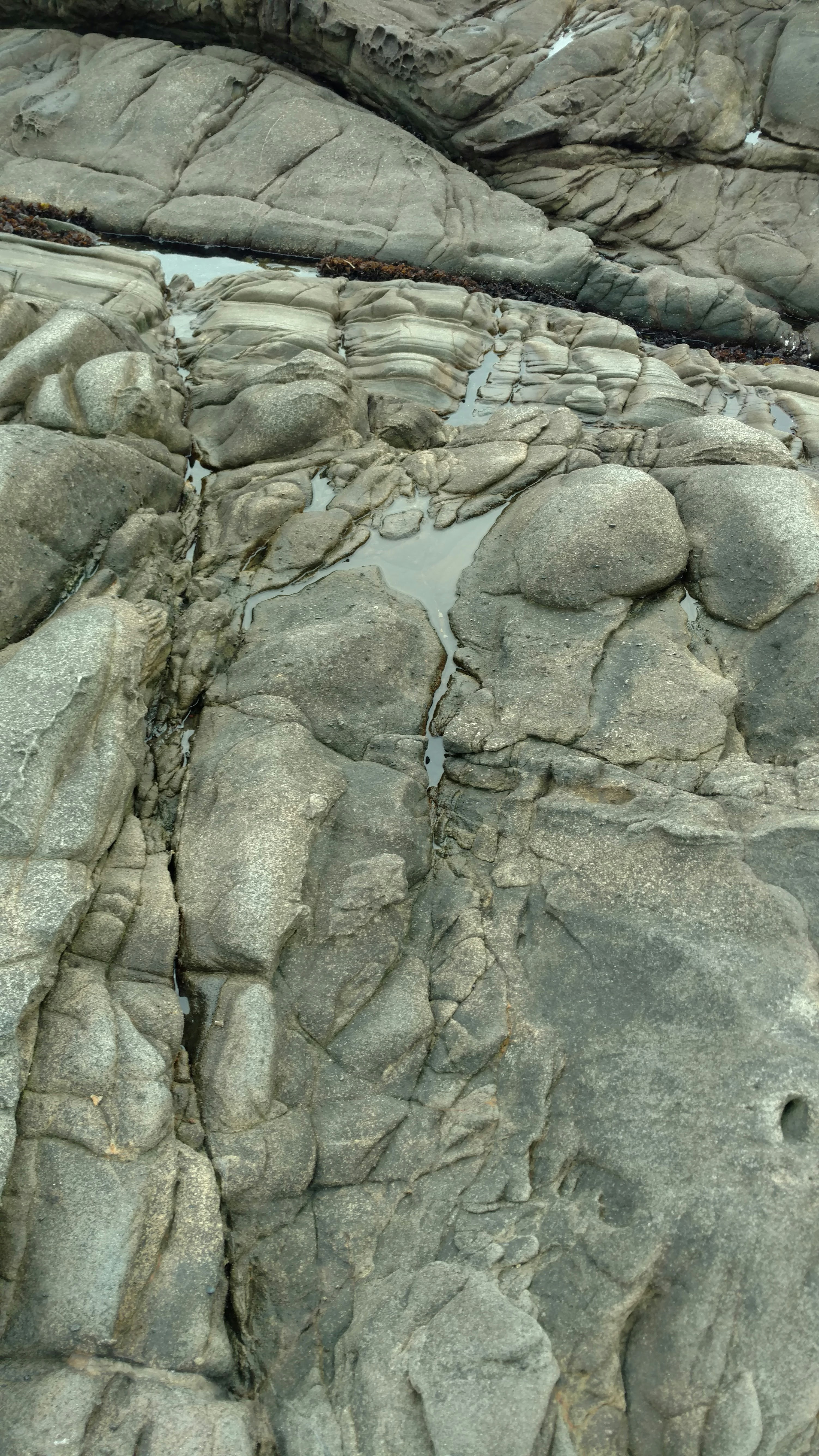 Bean Hollow State Beach CA 7 best free bean hollow state beach