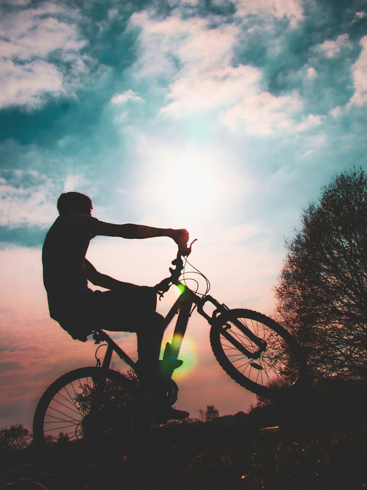 Outdoor Adventures Unleashed: The Five Best Mountain Biking and Hiking Trails in Knoxville, TN