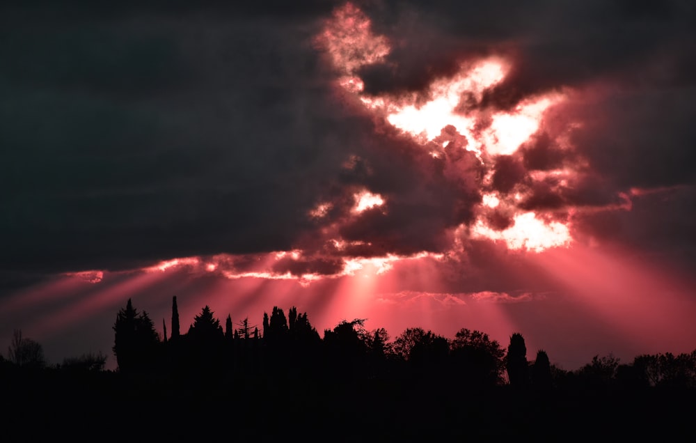 silhouette d’arbres sous un ciel nuageux au coucher du soleil