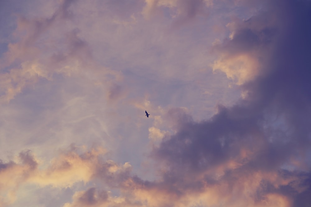 black bird flying under white clouds during daytime