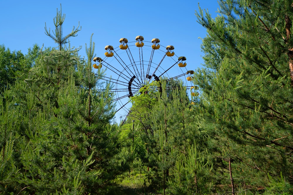 green trees under blue sky during daytime