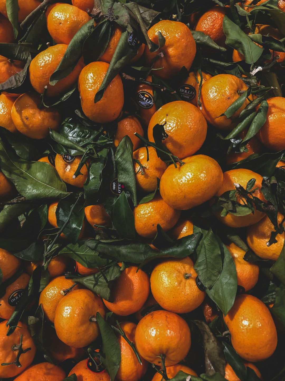 orange fruits on green leaves