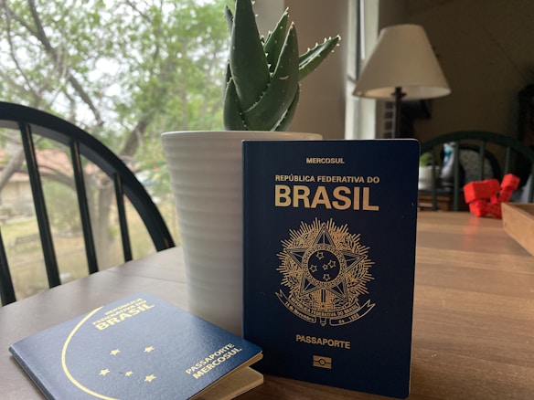 Two Brazilian passports are placed on a wooden table near a white potted plant, amidst a cozy indoor setting with a lamp and a view of greenery through the window.