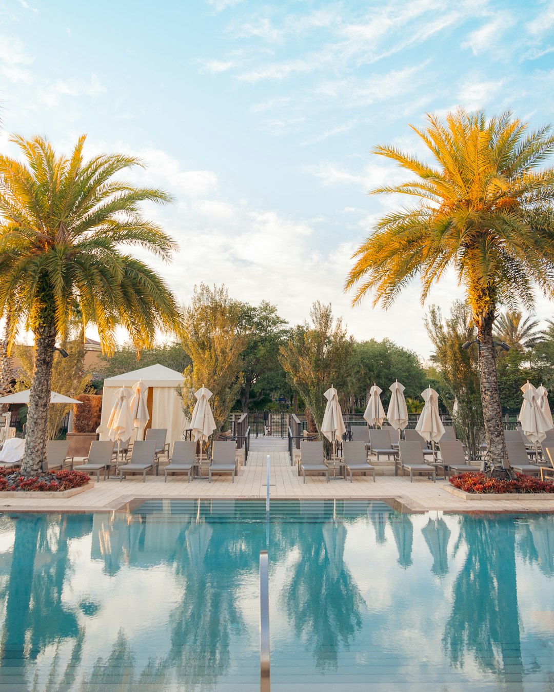 green palm trees near swimming pool during daytime