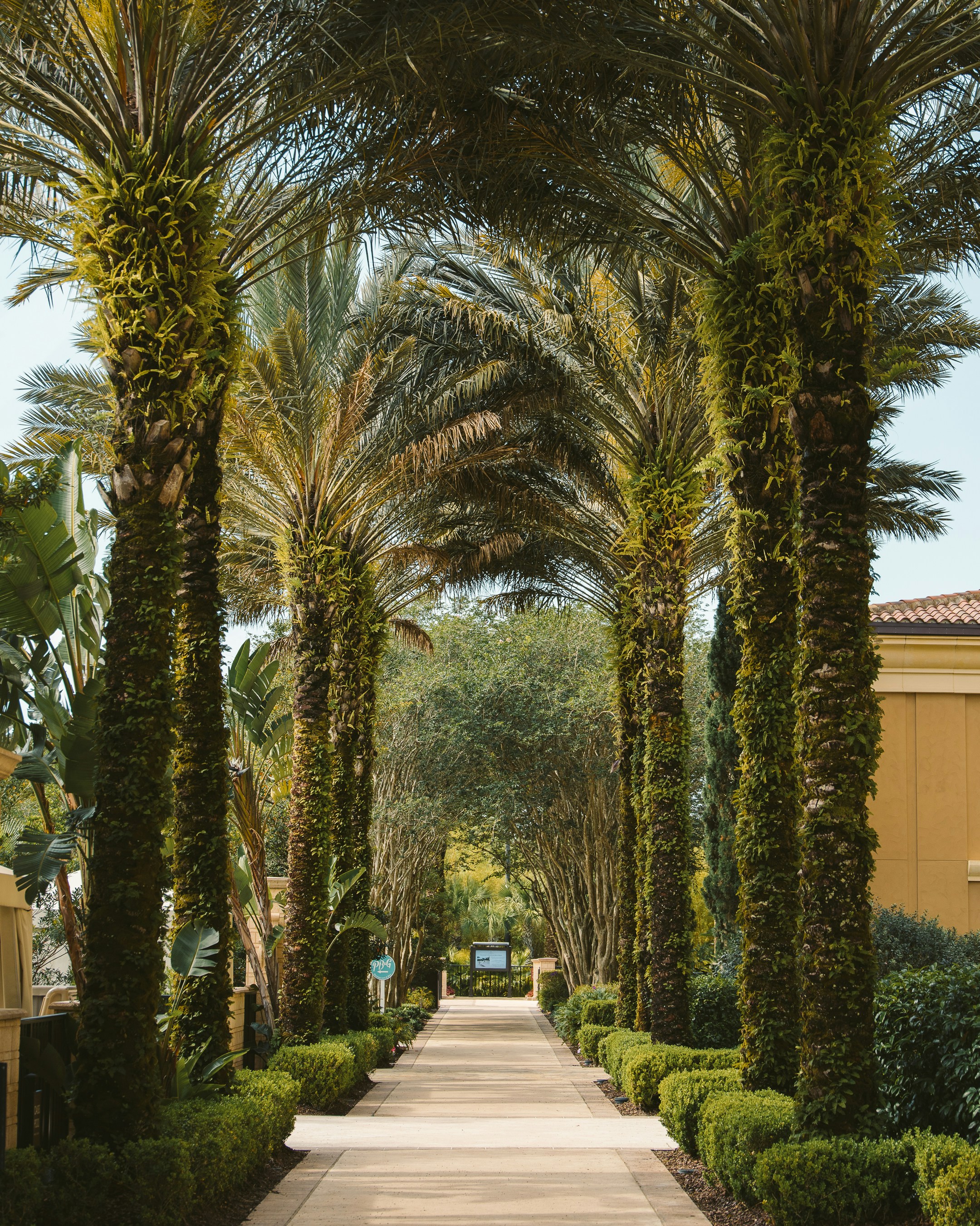 Photo by jphotomedia