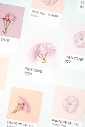 Multiple Pantone color swatches are arranged on a light surface, each featuring a delicate pink flower. The swatches include various shades of pink with corresponding names and numbers.