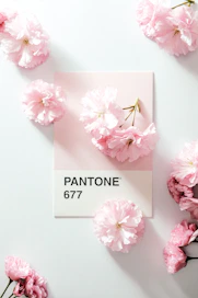 pink and white flowers on white table