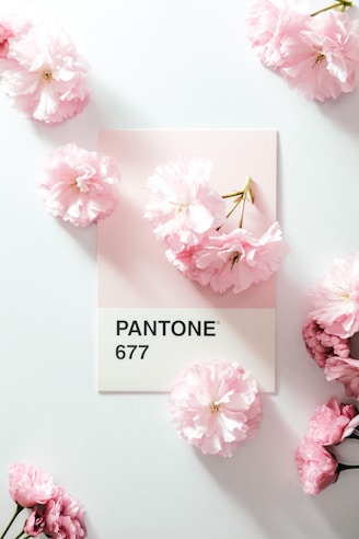 pink and white flowers on white table