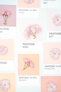 Several Pantone color cards are arranged neatly, each featuring a specific shade of pink and adorned with delicate pink flowers. The cards are labeled with Pantone numbers and color names like Peony, Blossom, and Candy Pink.