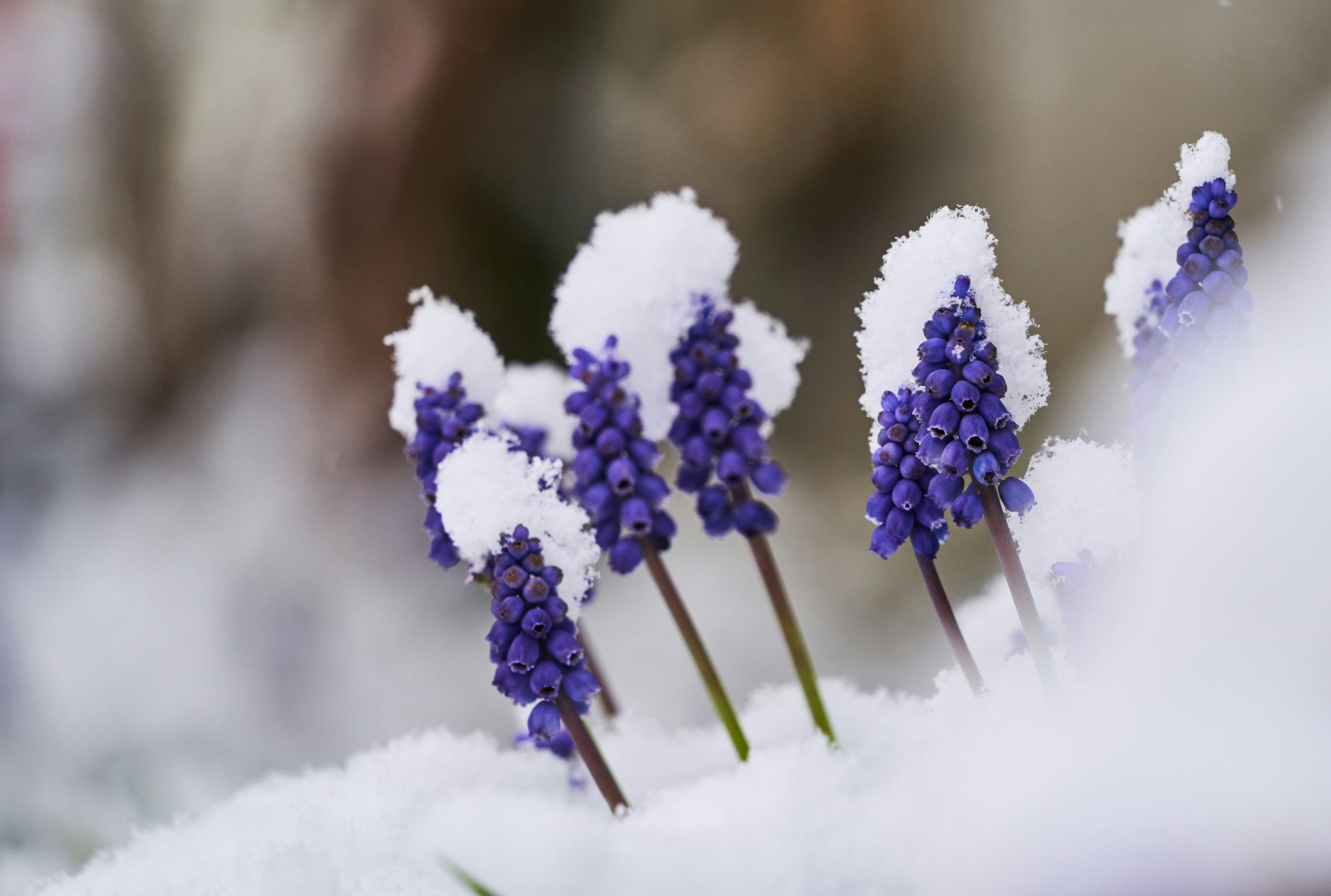 Photo by wolfgang_hasselmann