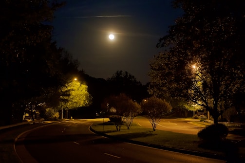 A quiet city street at night illuminated by a pale moon.