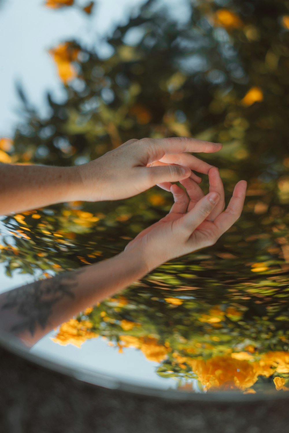 persons left hand on yellow and green leaves