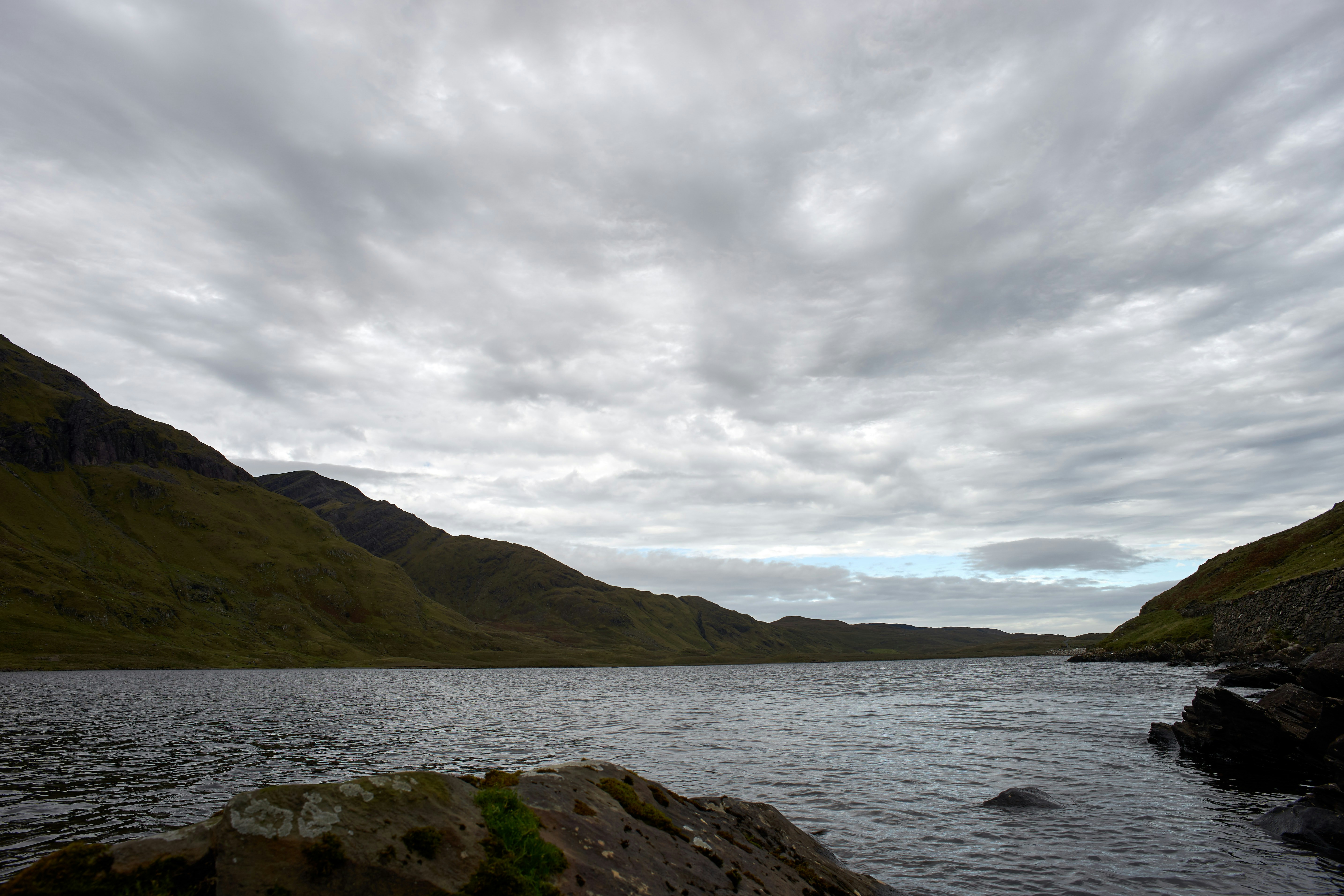 Photo by wolfgang_hasselmann