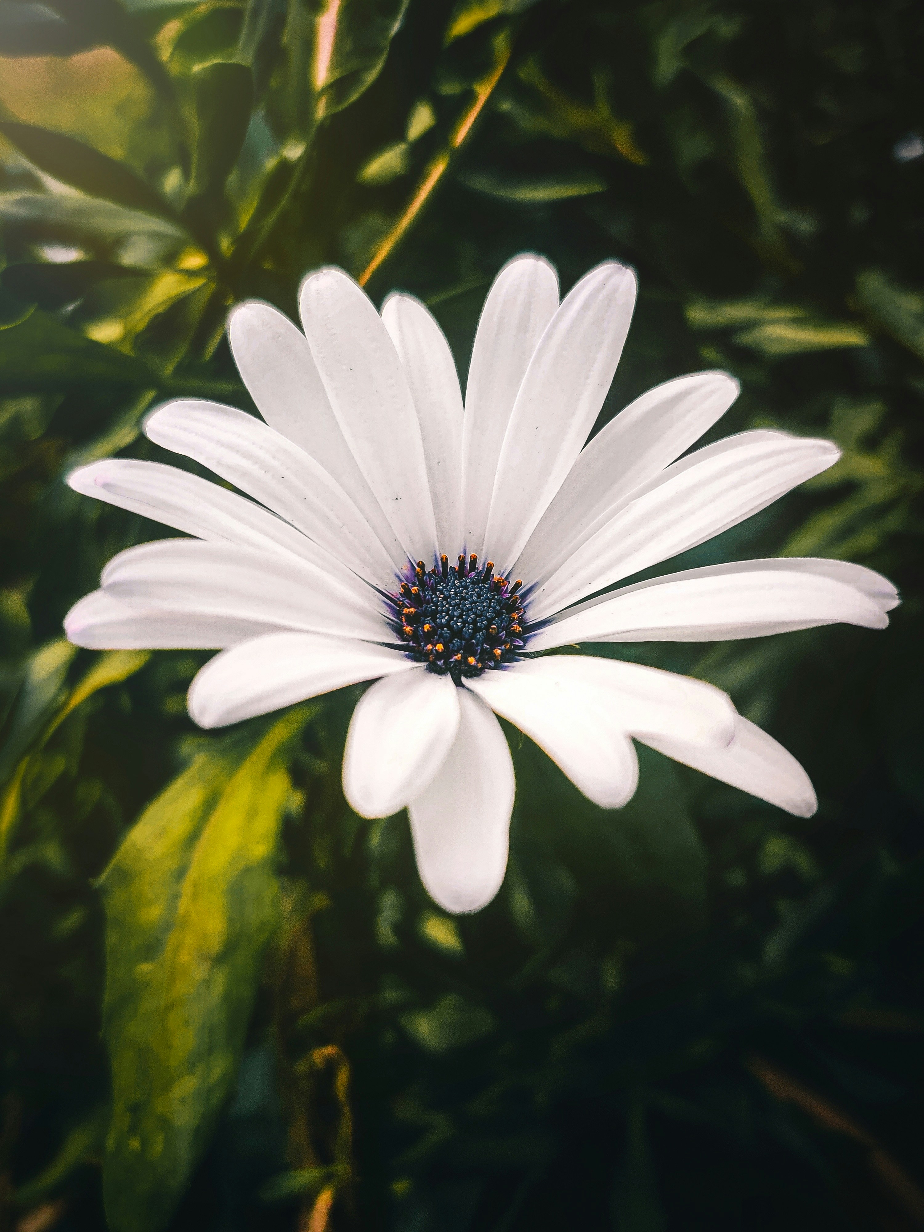 Photo by karthikpillai