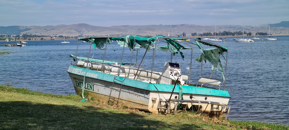 bateau vert et blanc sur l’herbe verte pendant la journée