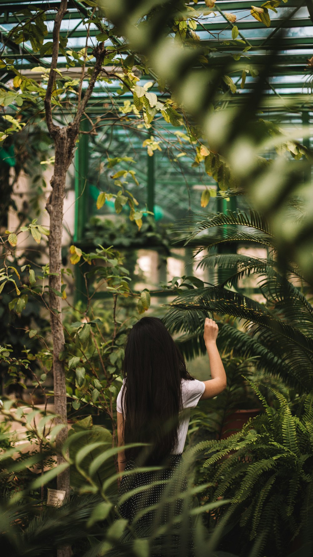 woman in white shirt standing near green leaf plant during daytime