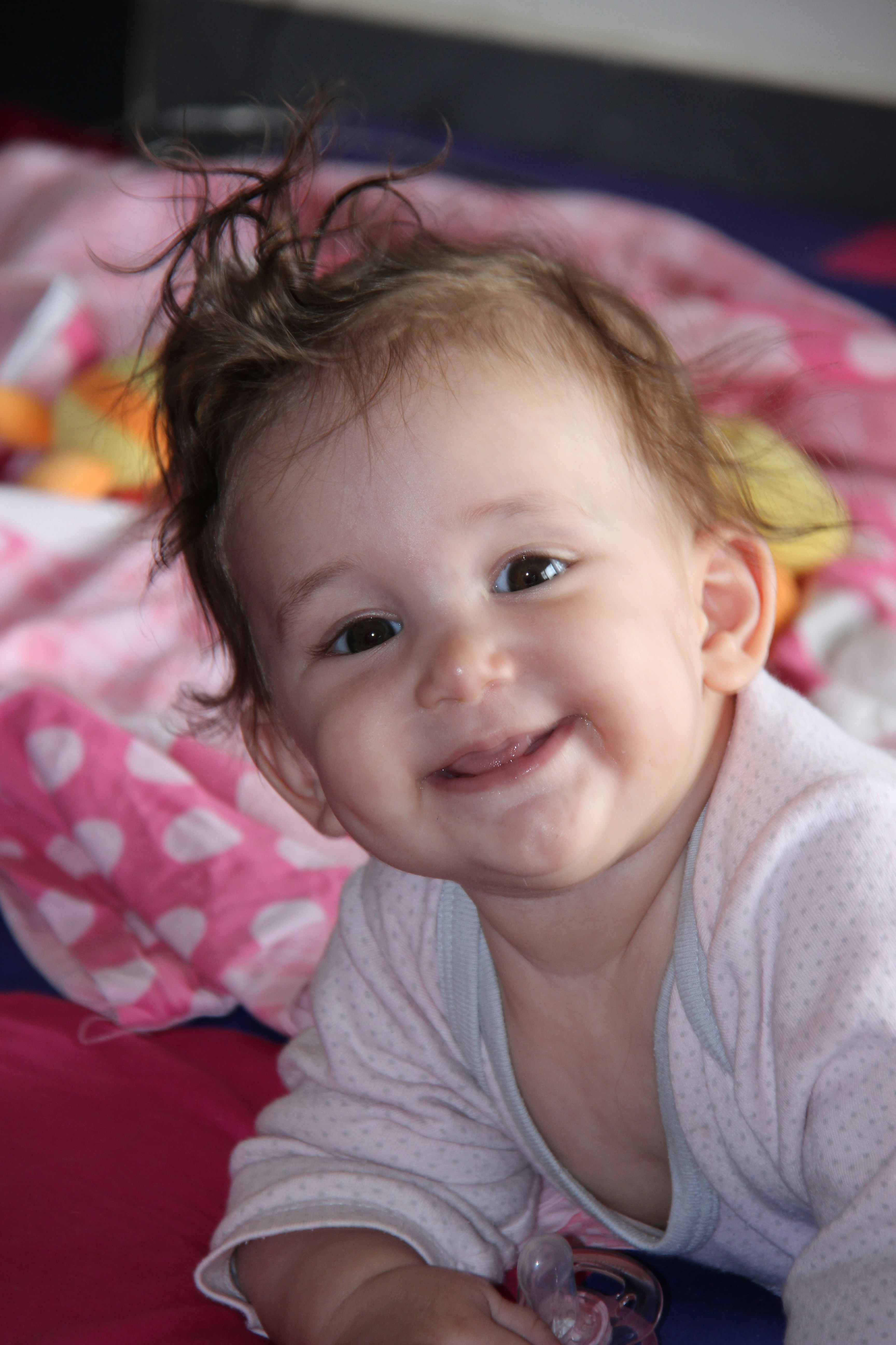 Photo by shalevcohen