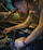A person is working on a car engine, focusing intently as they use both hands to adjust or repair parts under the open hood. The scene conveys a sense of concentration and dedication, with ambient lighting highlighting the muscles and details of the engine components.