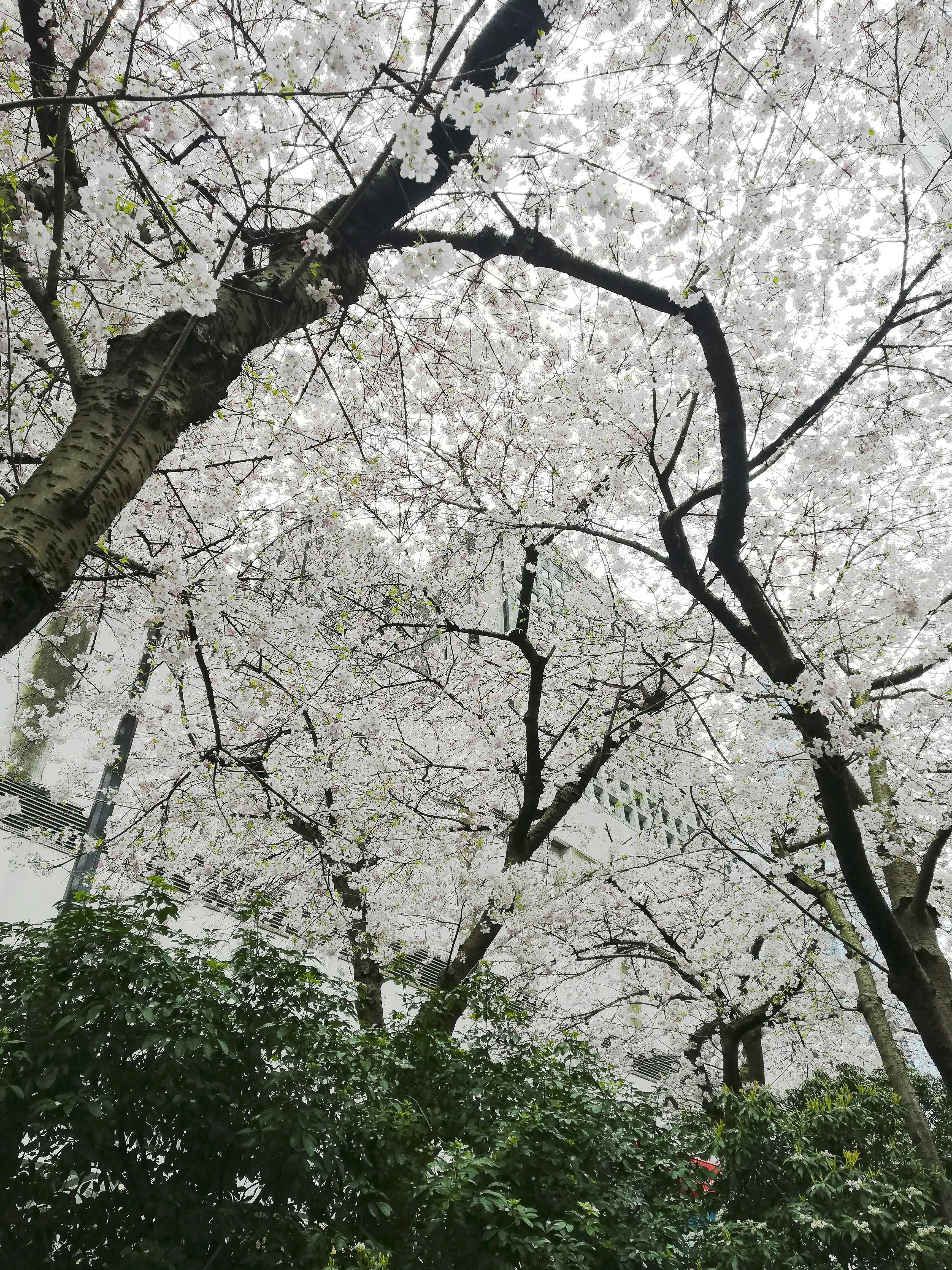 Photo by sepoys