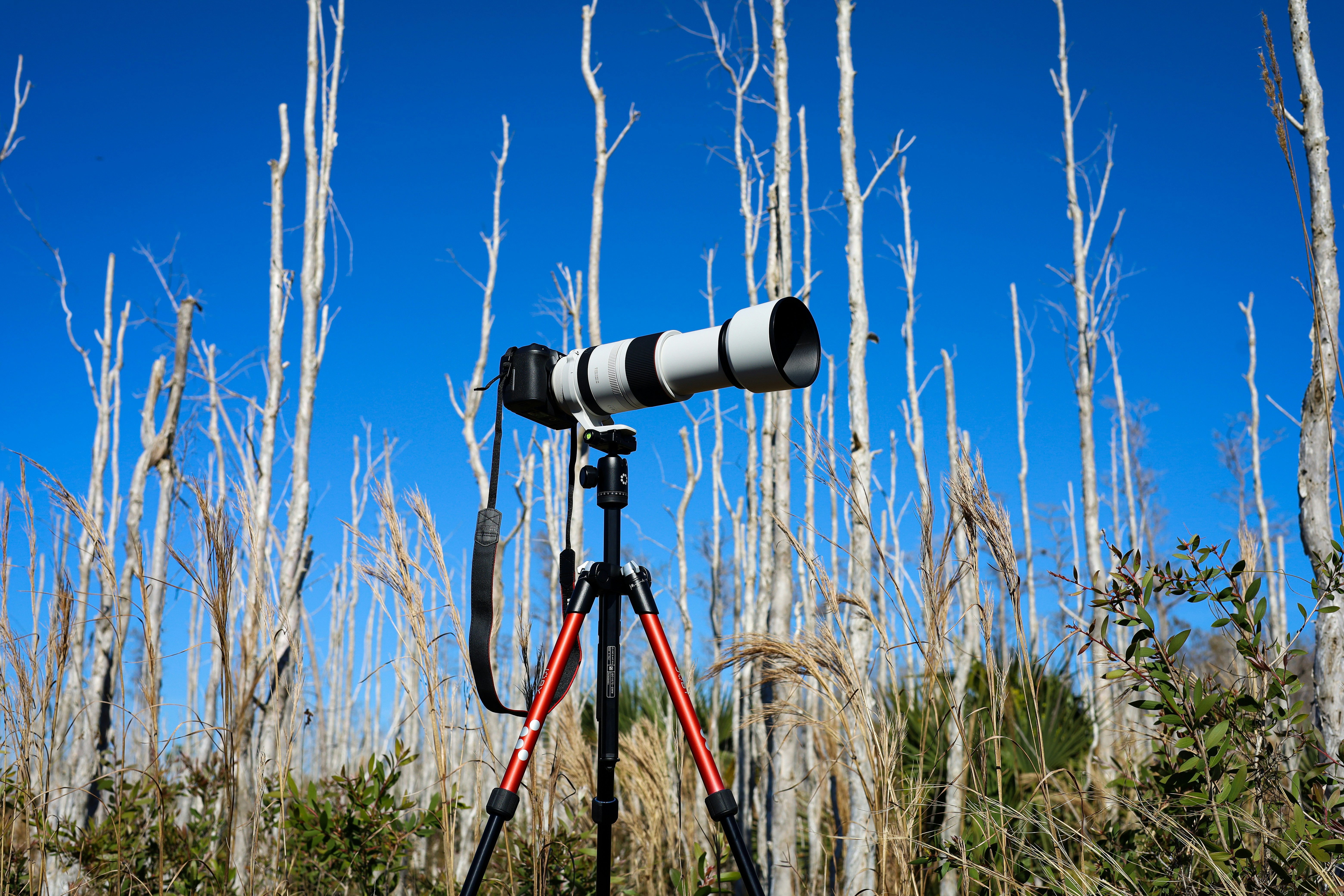 The 5 Best Telescopes for Travel Reviews