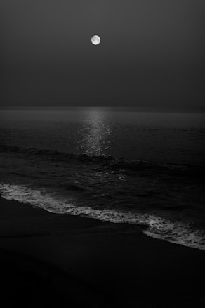 A full moon is prominently featured in the night sky, casting a reflective glow on the calm ocean waters. Gentle waves are breaking on the shore, creating a serene and peaceful scene.