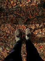 Close-up of worn running shoes on a trail covered with autumn leaves.
