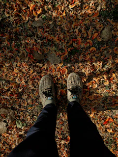 Comfortable casual shoes worn by a person walking through a park in autumn.