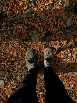 A pair of well-worn walking shoes resting on a sunlit trail surrounded by autumn leaves.