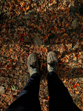 Comfortable casual shoes worn by a person walking through a park in autumn.