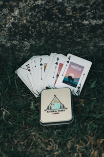 Close-up of water-resistant game cards with QR codes glowing softly in a woodland setting.