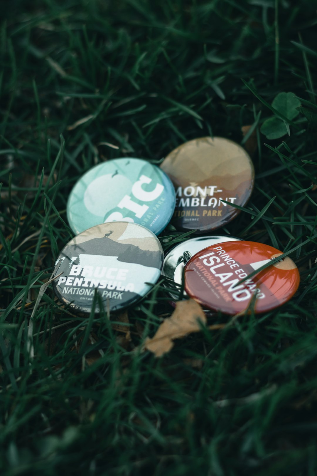 four round blue and red plastic containers on green grass